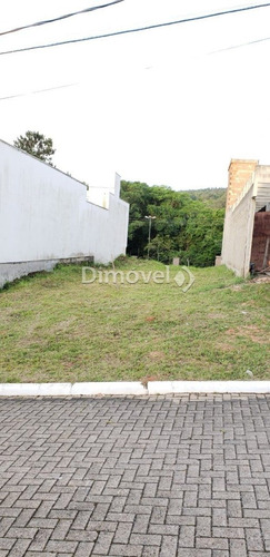 Imagem 2 de 4 de Terreno - Vila Nova - Ref: 24534 - V-24534