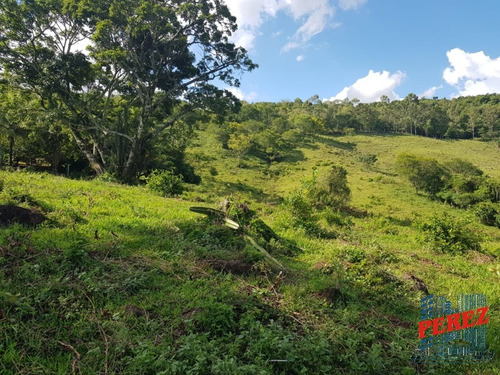 Chácaras_sítios_fazendas Para Venda - 13650.5197