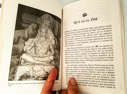 Libro Todo Sobre Yoga Maestro Derose Manual Introductorio