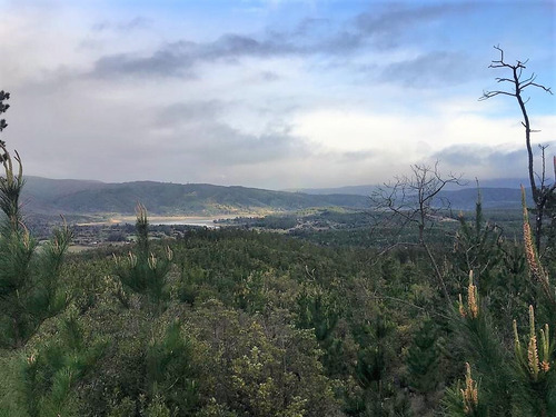 Cauquenes Viñas Y Forestal, 2 Tranques (70047)