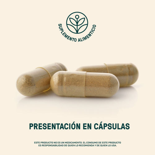 Melena De León Mushrooms Life 360+ 90 Cápsulas Hongo Melena