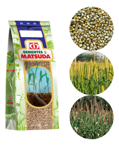 Sementes De Milheto Brs1501 - 2kg