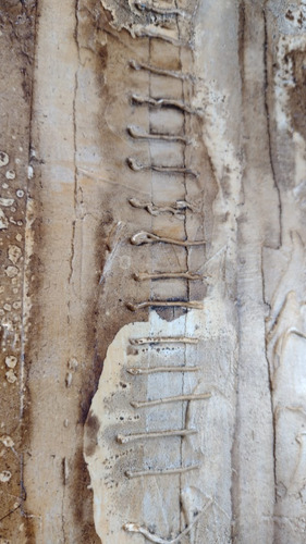 Imagen 6 de 10 de Obra De Arte Cuadro Original Tecnica Mixta Relieve