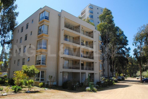 Imagen 1 de 8 de Exclusivo Dúplex Costa Algarrobo Norte