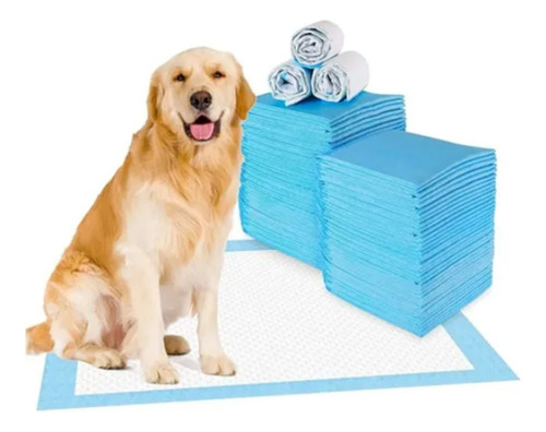 50 Tapete Entrenador Para Perro Gato 60x45 Cm Mascotas