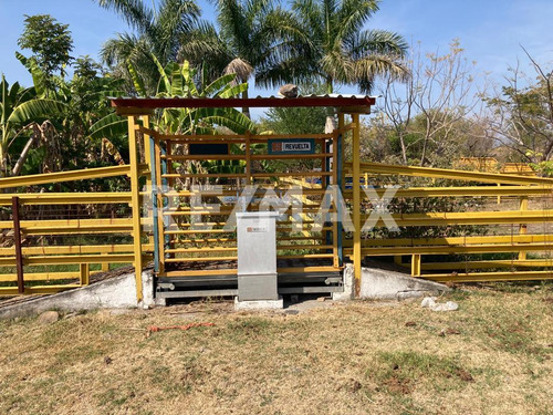 Rancho En Venta En Morelos, Tetecala