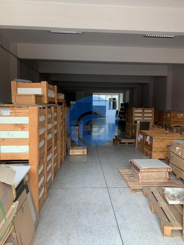 Imagem 8 de 9 de Prédio No Instituto De Previdência - São Paulo - 3295