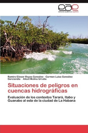 Libro Situaciones De Peligros En Cuencas Hidrogr Ficas - ...