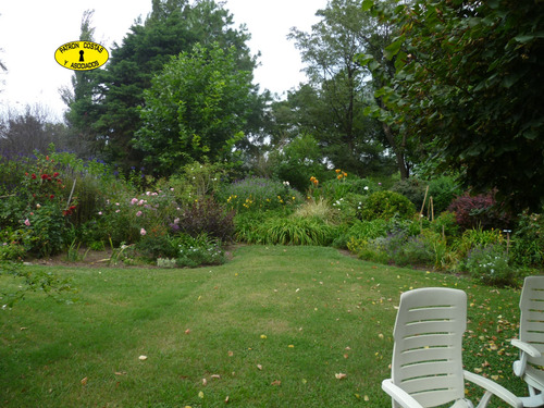 Imagen 21 de 29 de 1554ml-venta 20 Ha, C/ Casa En La Mejor Zona Polera