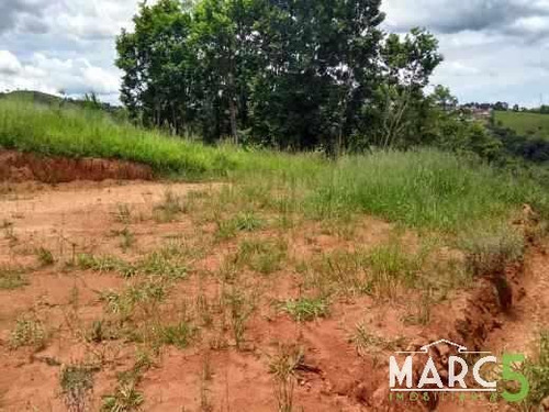 Imagem 15 de 20 de Terreno - Centro - 512