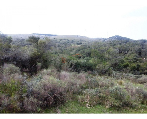 Campo En Venta En Uruguay, Lavalleja A Pocos Km De Minas- Ref: 22035