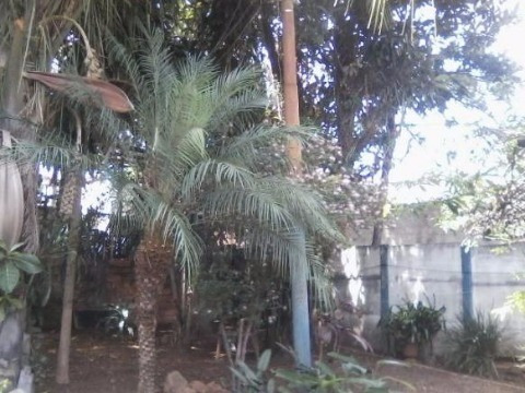 Imagem 5 de 8 de Area À Venda No Jardim Faculdade - Sorocaba/sp - Ar00802 - 4237814