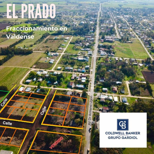 Imagen 3 de 7 de Terreno - Colonia Valdense