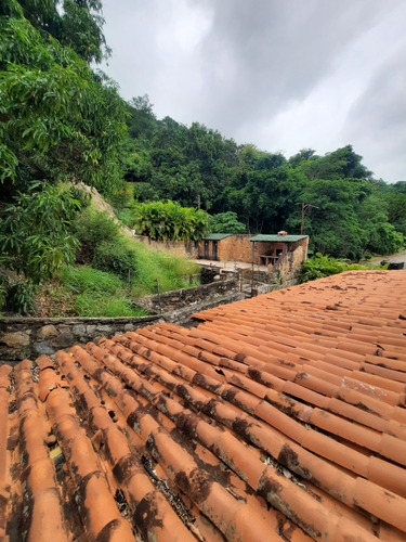 Yannet Inmuebles Vende Casa Calle Cerrada Trigal Norte