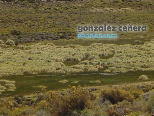 Venta Campo Ingeniero Jacobacci