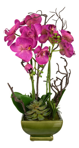 4990 Arreglo De Orquídeas Y Suculentas