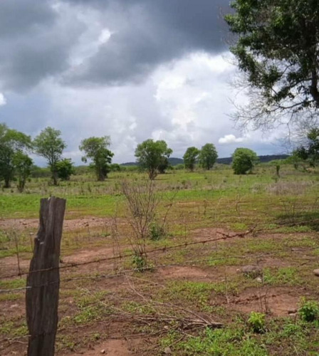 Imagen 3 de 11 de Finca En Altagracia De Orituco- Guarico