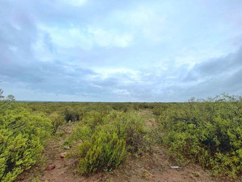 Imagen 3 de 7 de Venta De Campo, Lujan De Cuyo, Mendoza