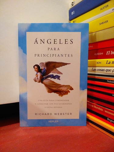 Ángeles Para Principiantes - Richard Webster