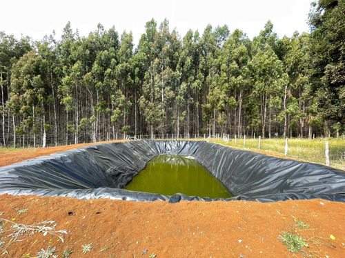 Campo De 22 Hectáreas Cercano A Fresia.