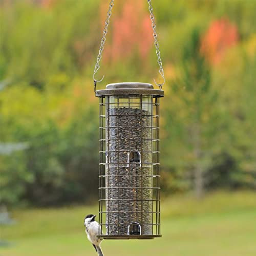 Cadena Colgante Con Ganchos Para Comederos De Pájaros, Farol