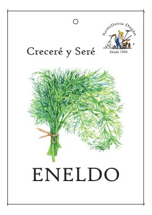 Semillas De Eneldo