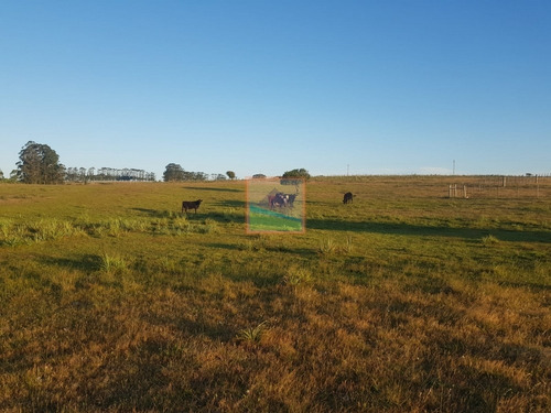 Imagen 6 de 12 de Chacra 7 Hás Rincón De José Ignacio