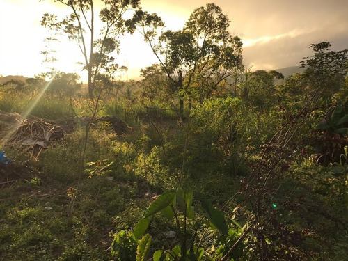 Imagen 11 de 14 de Terreno En Colinas De Carrizal