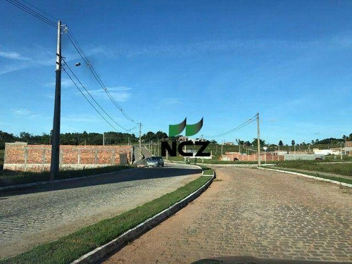 Imagem 7 de 12 de Terreno À Venda, 18000 M² Por R$ 740.000,00 - Ponto Certo - Camaçari/ba - Te0876