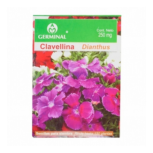 Semillas Para Siembra Clavellina 250 Mg Violeta Germinal