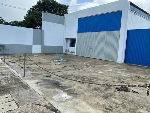 Imagen 1 de 14 de Bodega En Renta Sobre Avenida Jacinto Canek En El Fraccionam
