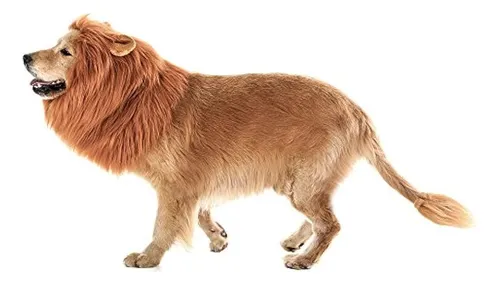 Melena De León Realista Y Divertida Para Perros, Melena