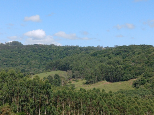 Chácara 10.000 M² - Maracanã - Glorinha - Rs - 2015 - 33422751