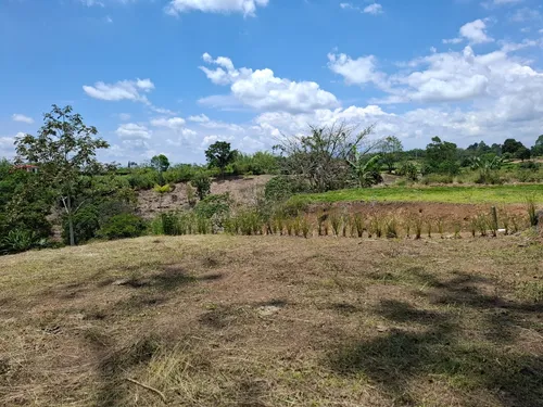 Oportunidad De Inversión! Excelente Ubicación Lote Campestre