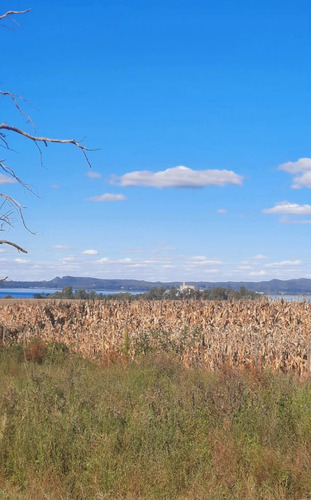 Vendo Terreno Altos De La Riviera Frente Lago Embalse