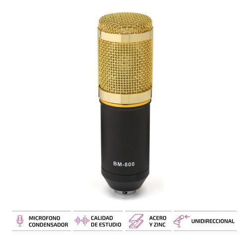Microfono Profesional Youtube Set Estudio Video Juegos Bm800 Dorado