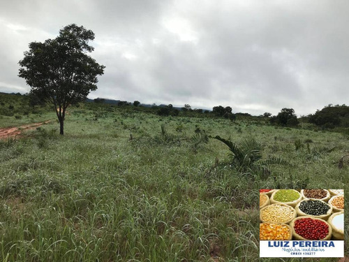 Imagem 14 de 15 de Fazenda À Venda Em Recursolândia - Ms - De 1.041 Alqueirões - 1648