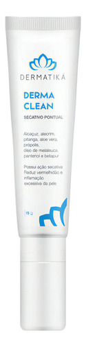 Secativo Pontual Para Acne Derma Clean 15g Momento De Aplicação Dia/noite Tipo De Pele Todo Tipo De Pele