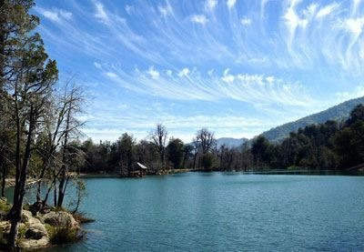 Imagen 4 de 9 de Sitio En Venta A 42 Km De Curicó A La Cordillera