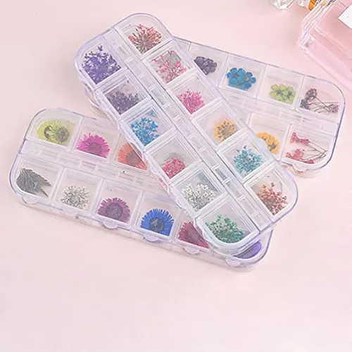 Teoyall 24 Colores De Flores Secas Para Arte De Uñas, 2