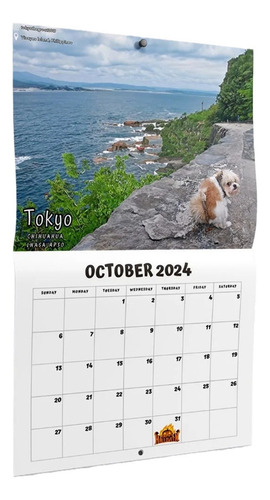 Calendario 2024 De Perros Defecando En Lugares Hermosos (ped
