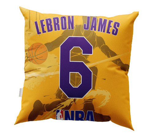 Souvenir Almohada + Funda  Almohadon 30x30cm Basquet