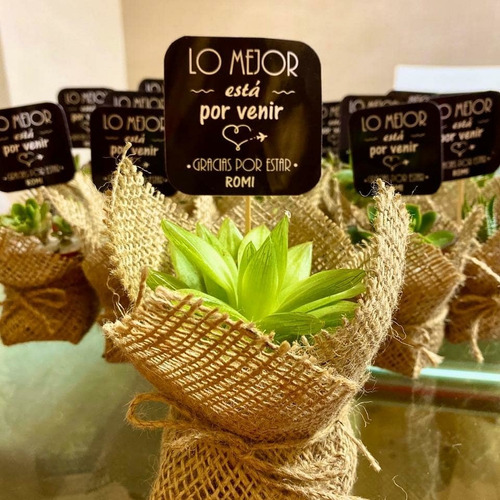 Imagen 8 de 11 de 10 Mini Cactus Suculentas Souvenir Eventos Cumple Isiflor