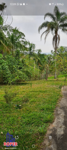 Imagem 5 de 10 de Linda Chácara Com 3.200 M² Com Casa À Venda Em Mogi Das Cruzes - Ch01046 - 70922903