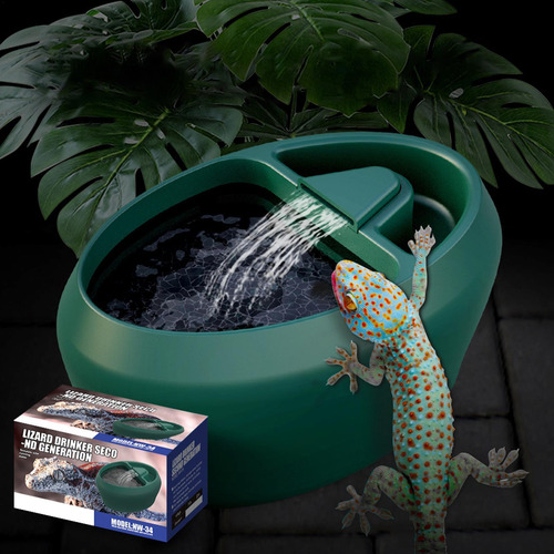 Fuente Para Beber Reptiles Plato De Agua Para Lagartos Fuent