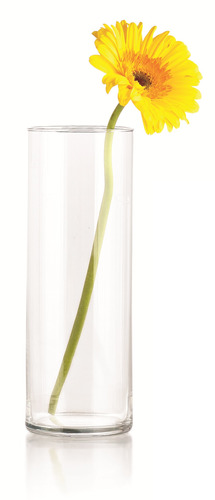 Florero Chipinque Medium Vase - 22.2cm/8 3/4 H Crisa 9099510