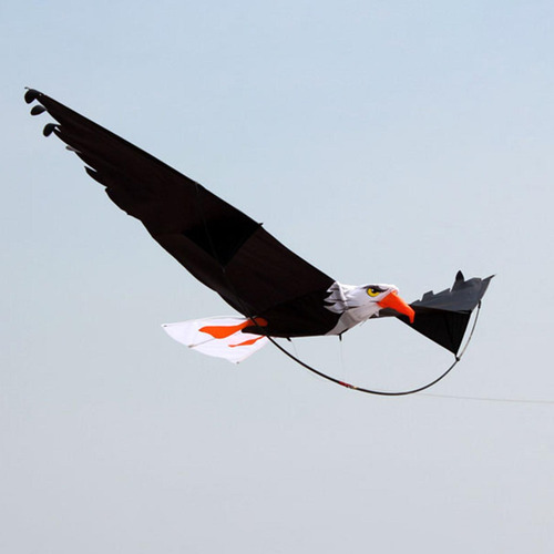 3d Águila Cometa Diversión Enorme Pájaro Los 200x70cm