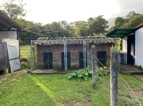 Imagen 24 de 28 de Vende Espectacular Finca La Esperanza En El Municipio San Cristobal, Estado Tachira. Lino Juvinao