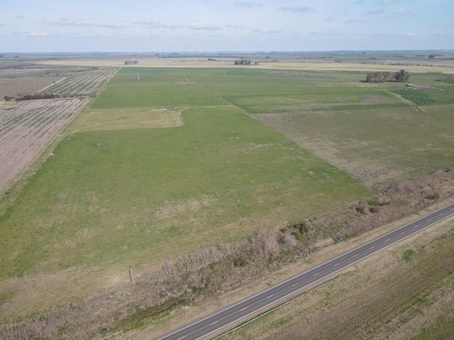 Campo En Venta De 10 Has. Agrícolas A 500 Metros De Ruta.