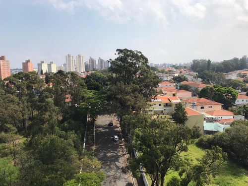 Imagem 11 de 14 de Edifício Torre Do Sol